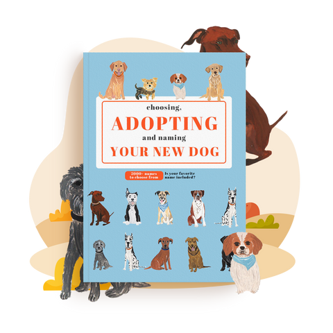 Choosing, Adopting and Naming Your New Dog Ebook